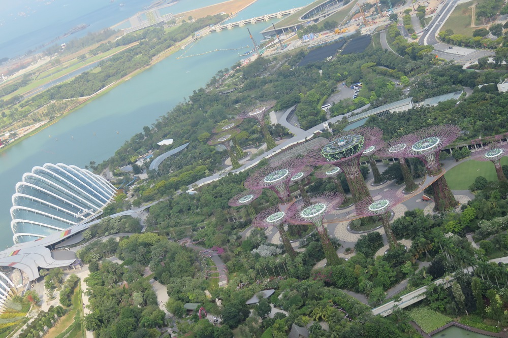 シンガポール2016-マリーナベイサンズ57Fガーデンズバイザベイ方面4